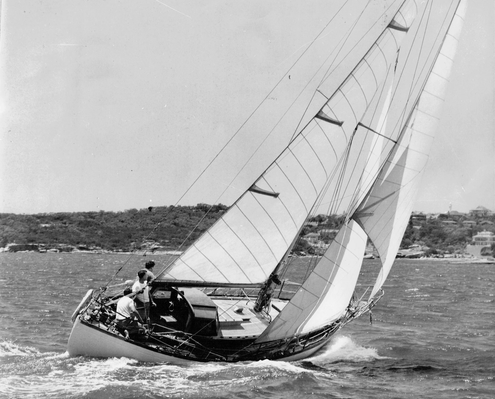 Jolly Roger racing Sydney Harbour