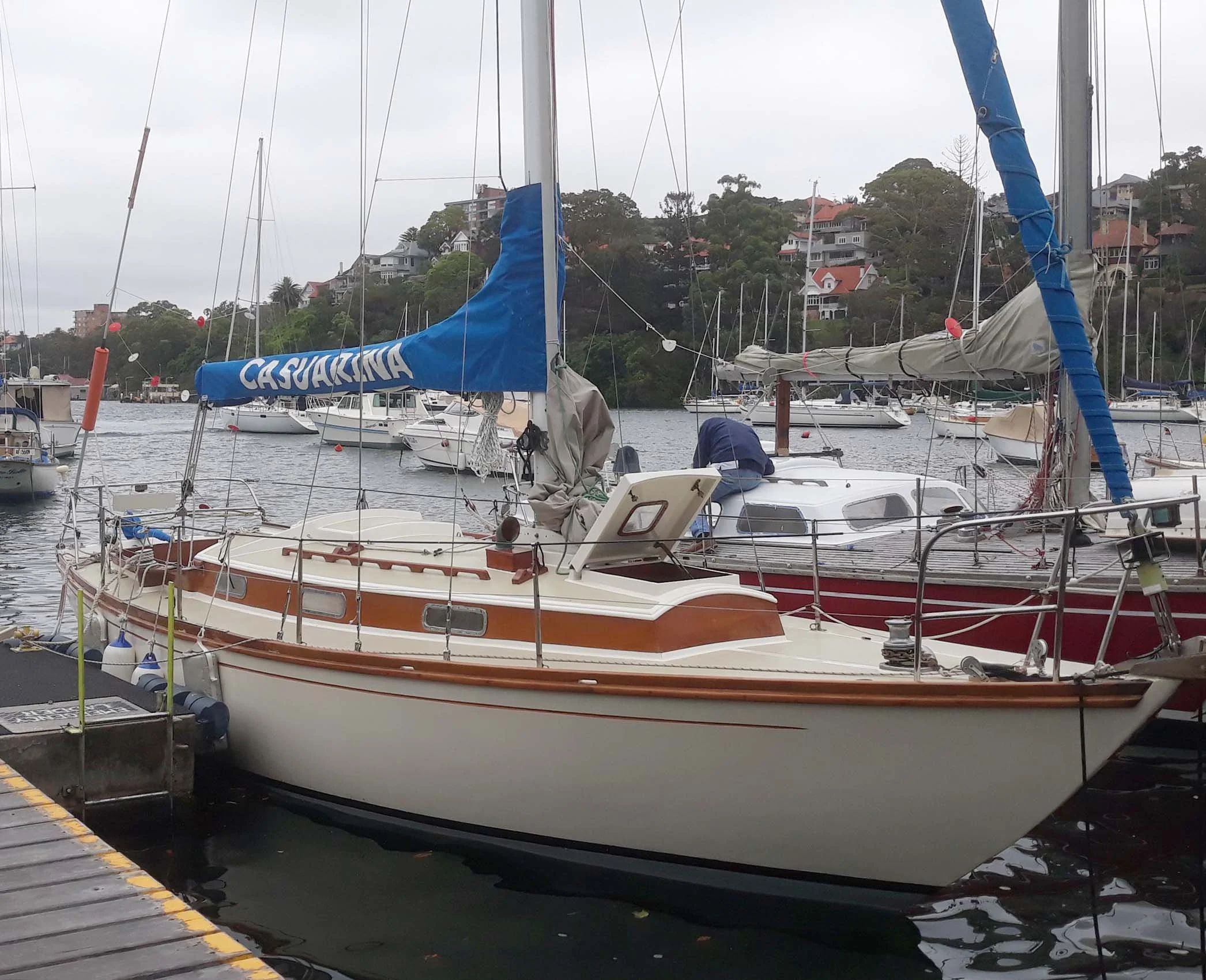 CASUARINA at SASC Green Shed December 2021