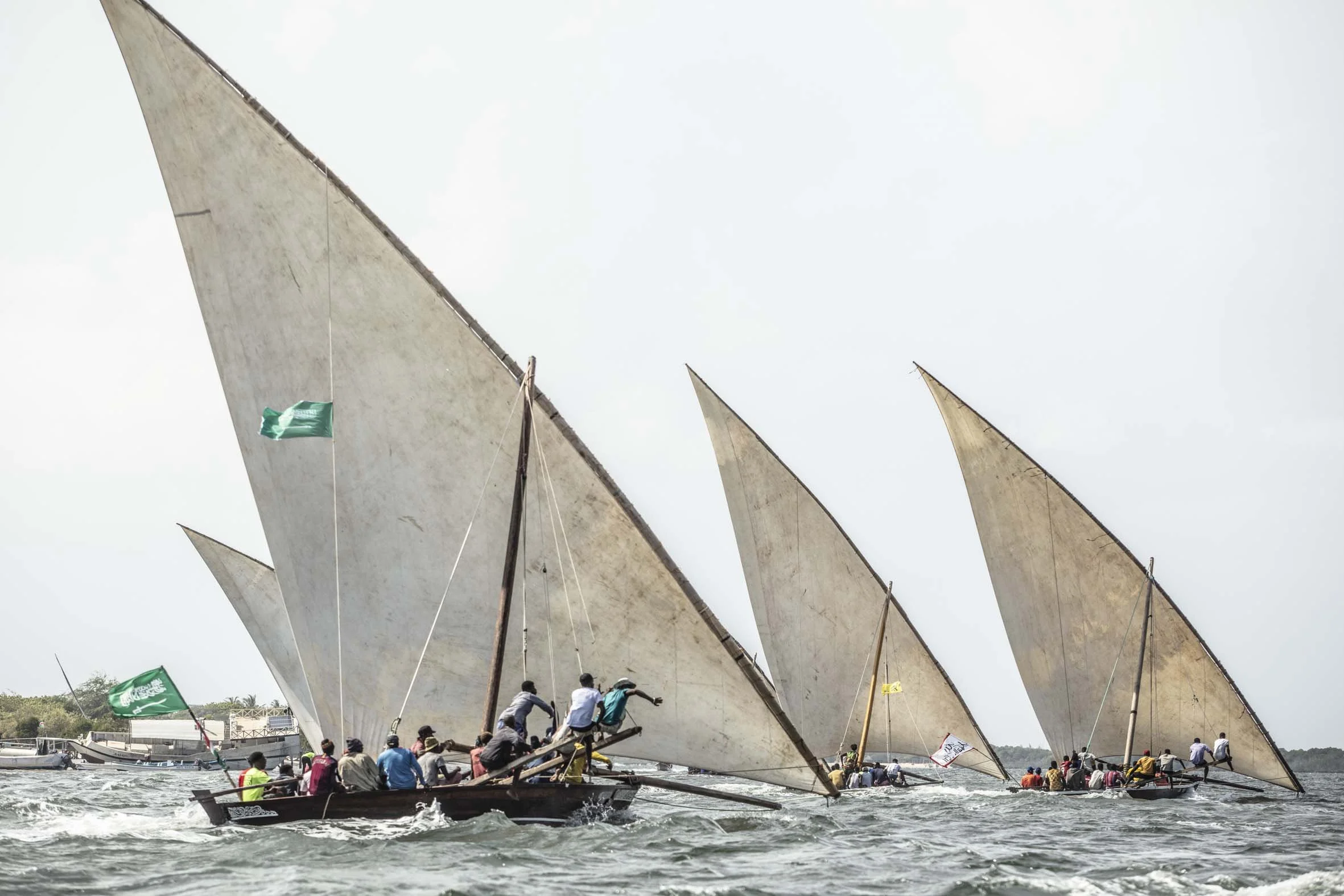 Talking Dhows in Auckland