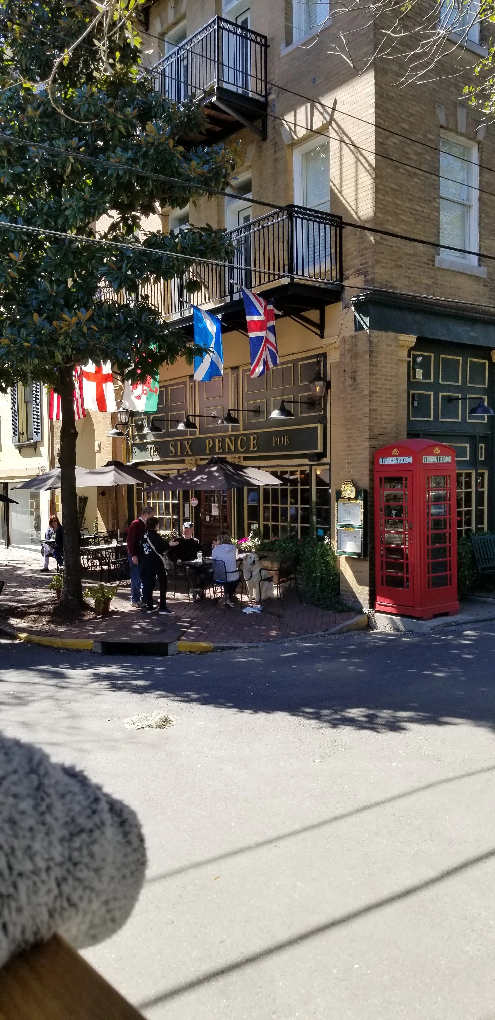 20210223_123659.jpg