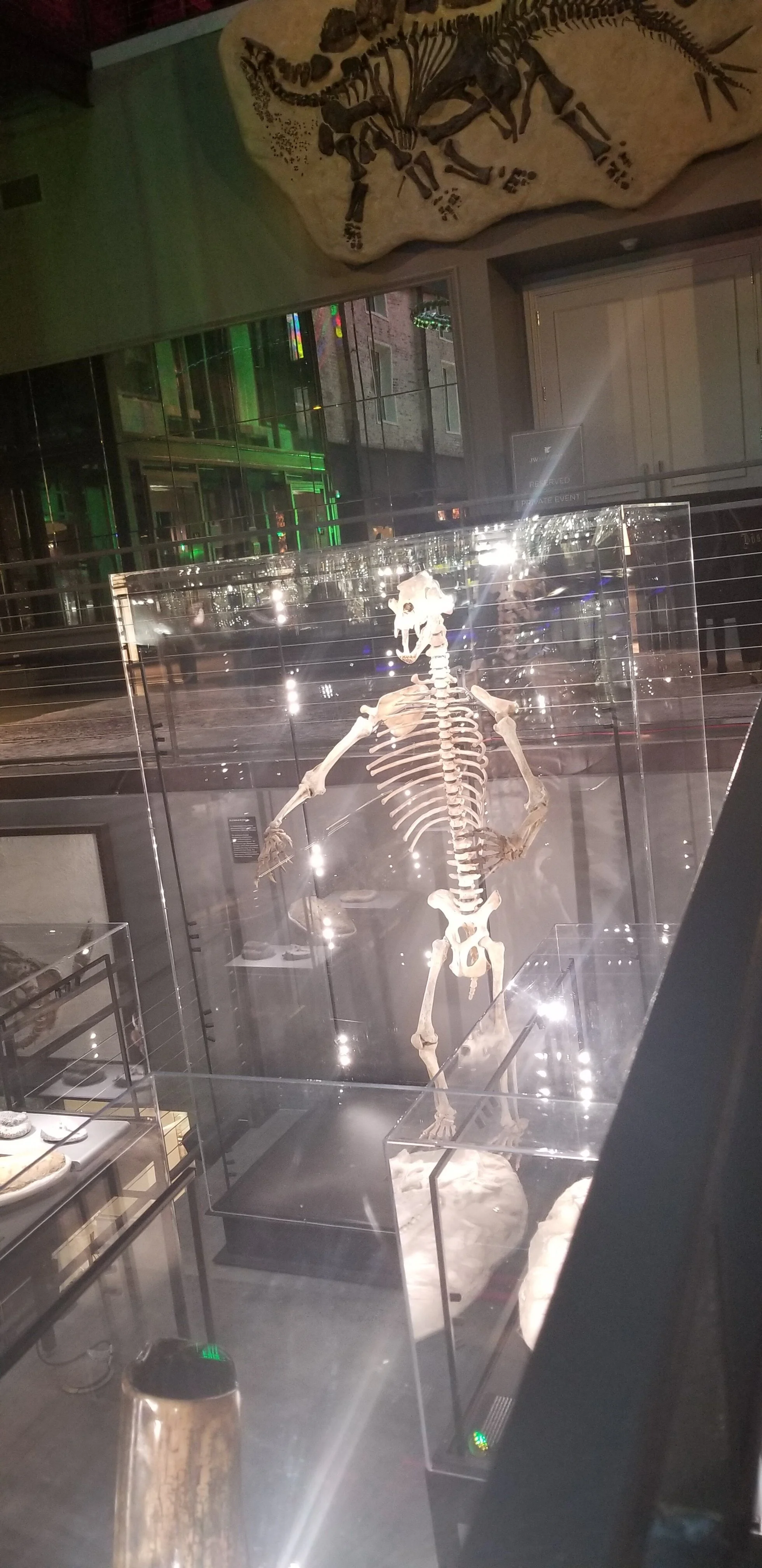 20210222_171535 - Copy.jpg