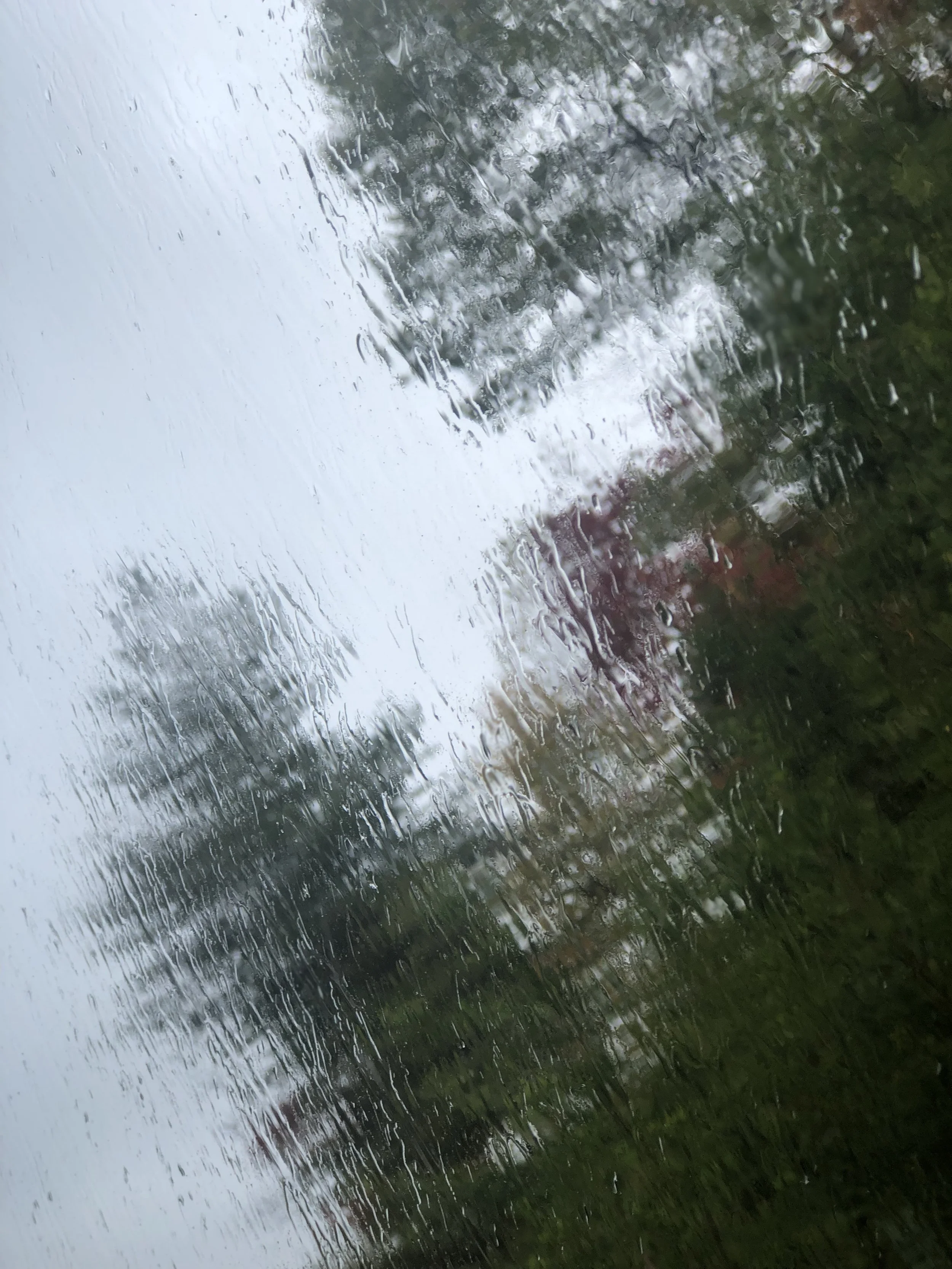 IMG_6791.JPEG