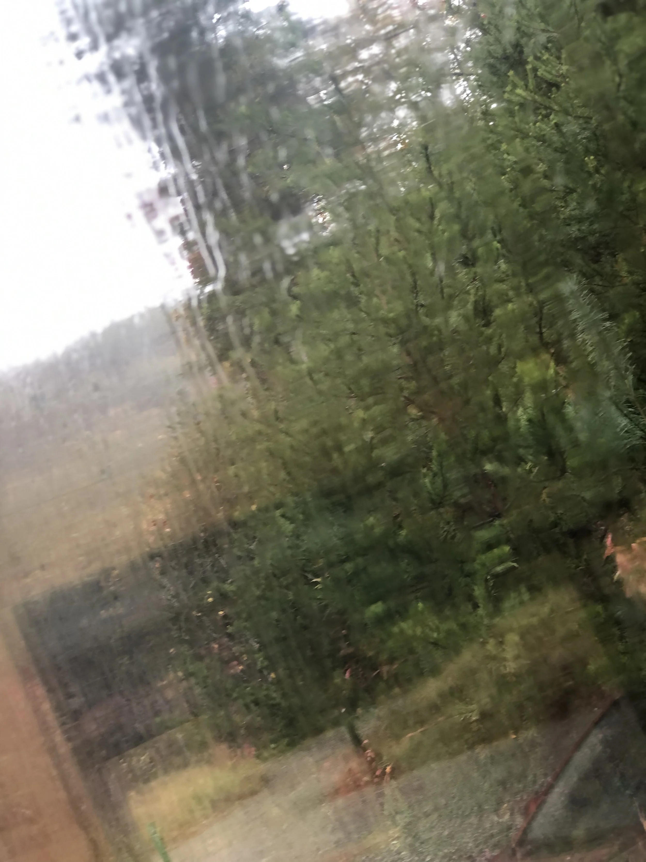 IMG_6794.JPEG