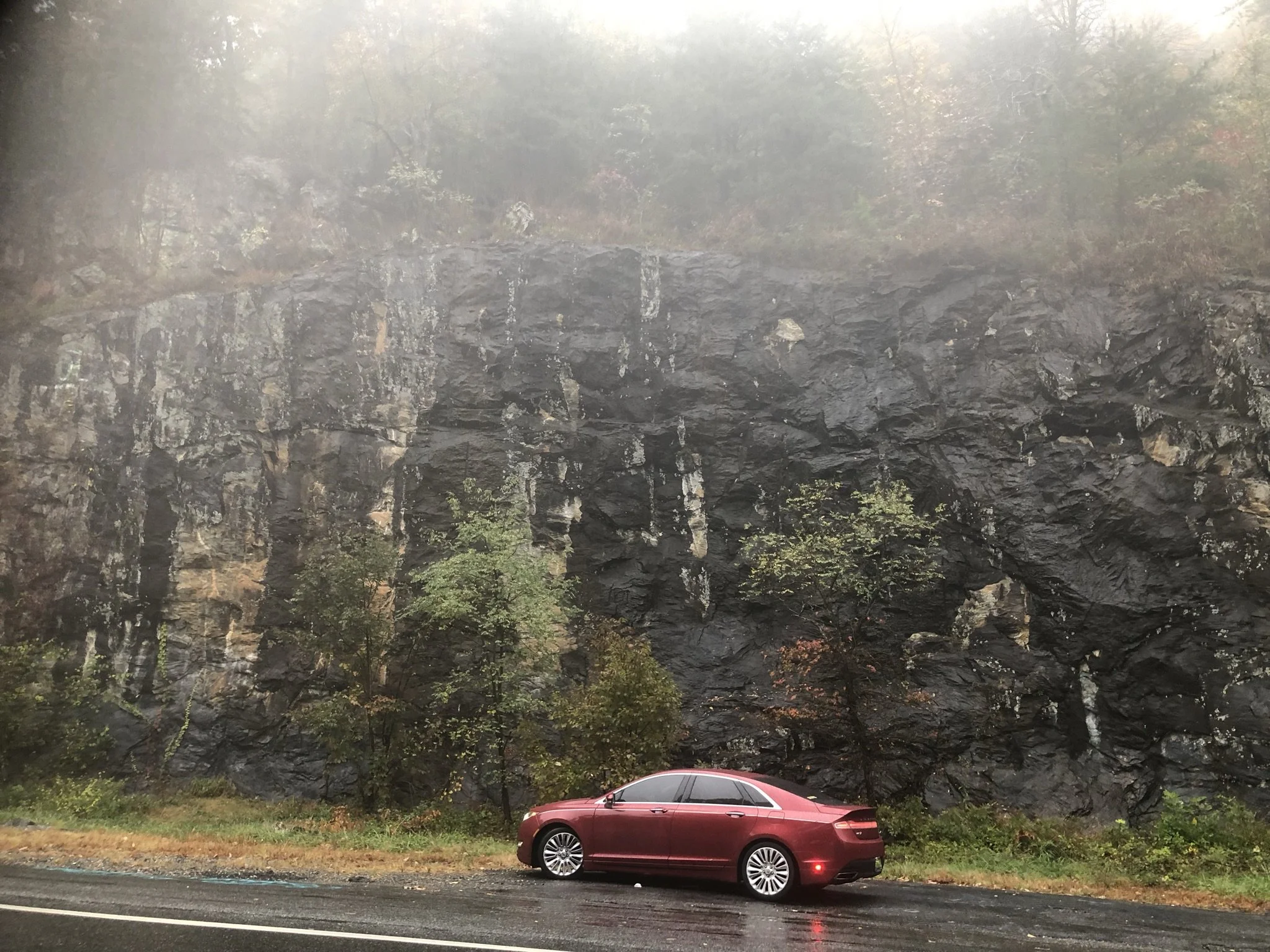 IMG_6837.JPEG