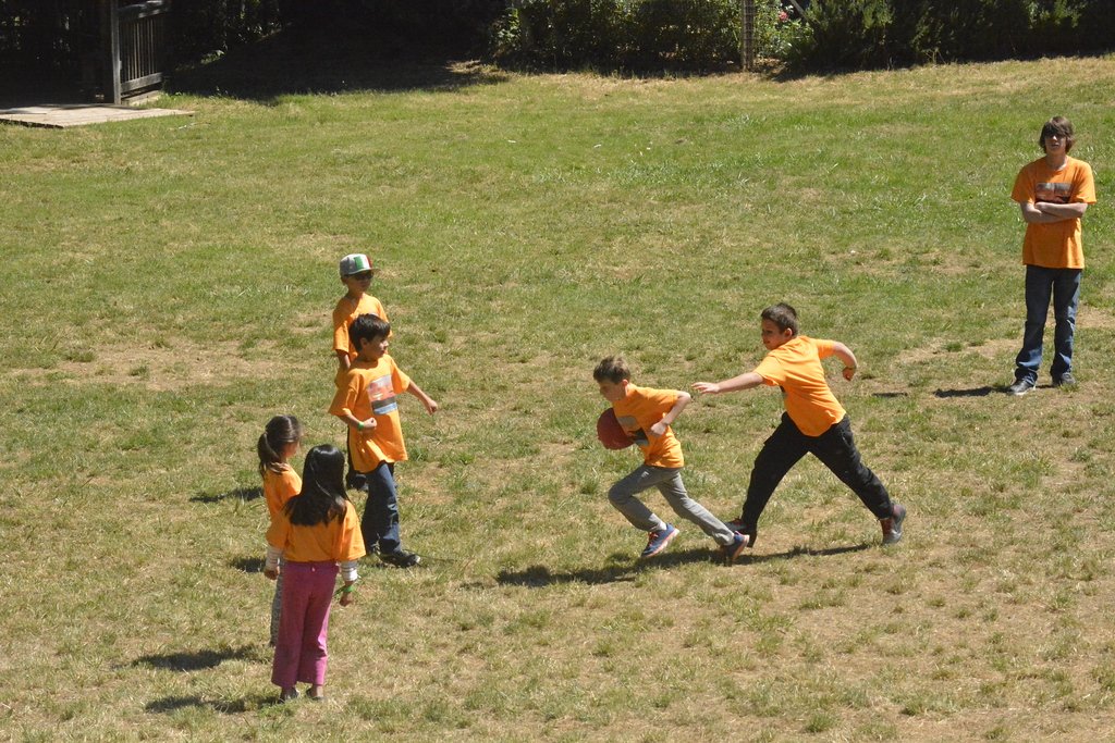 _DSC4011-XL.jpg