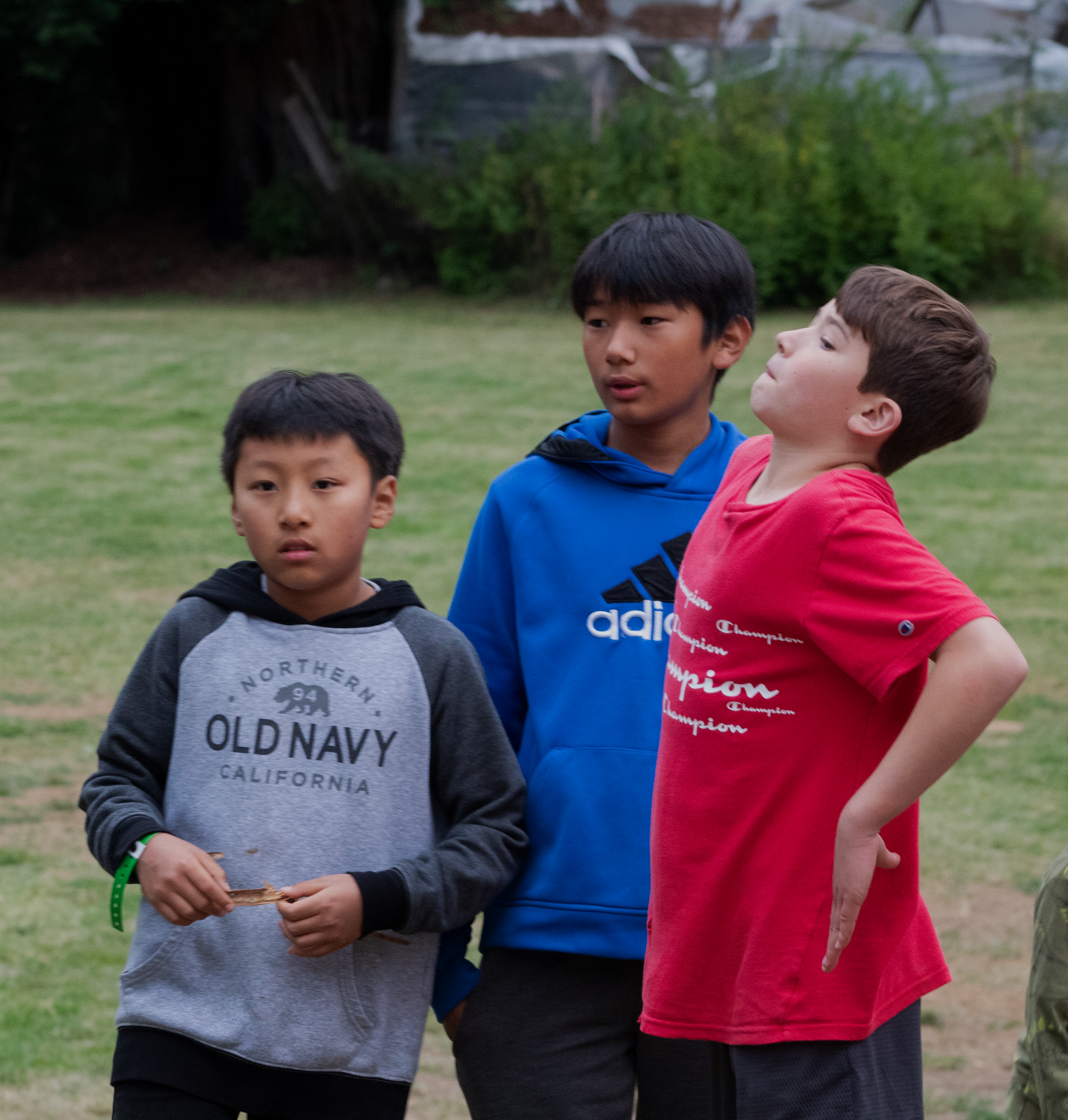 IMG_5897.png