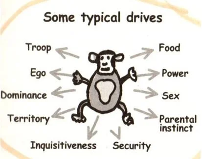 The Chimp Paradox The Acclaimed Mind Management Programme To Help You 