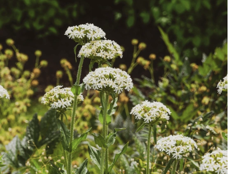 Screenshot 2025-12-07 at 7.51.18 PM.png