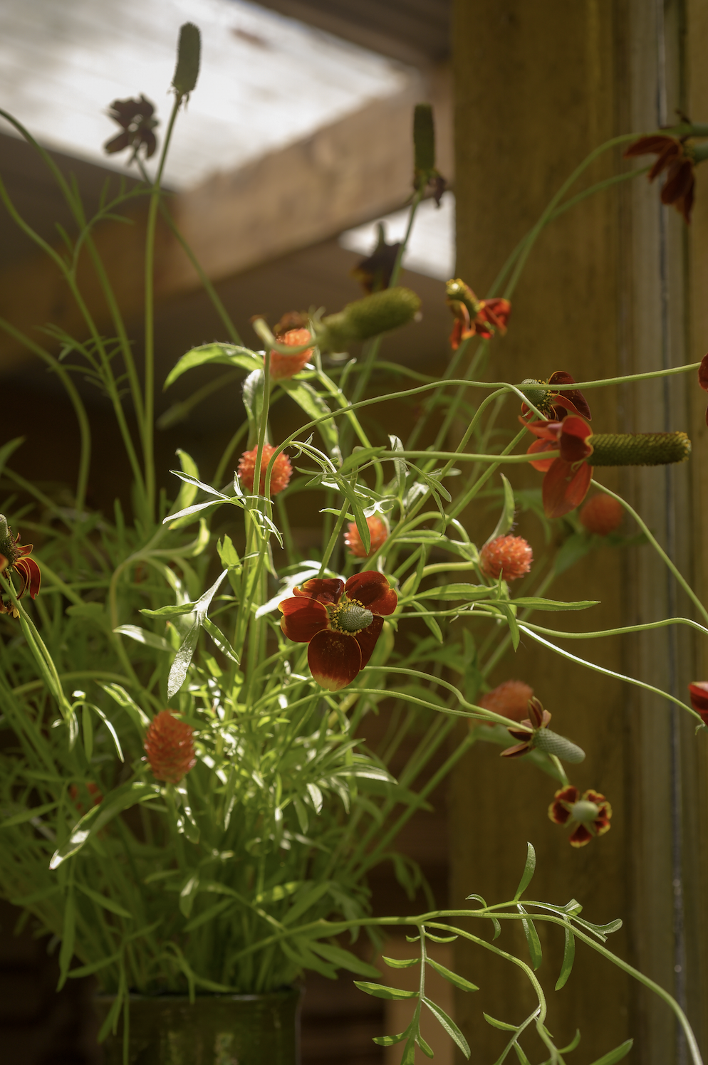 Screenshot 2026-03-25 at 5.05.01 PM.png