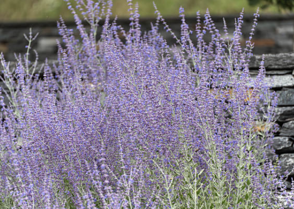 Screenshot 2026-02-28 at 4.03.00 PM.png