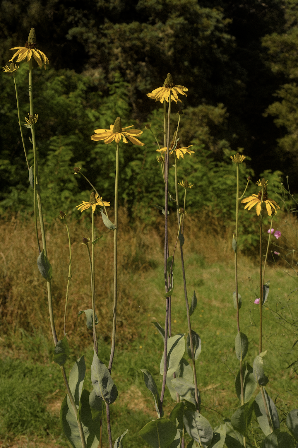 Screenshot 2025-12-26 at 12.30.42 PM.png