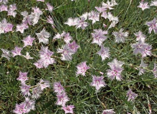 Screenshot 2026-01-17 at 1.23.28 PM.png