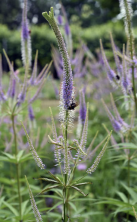 Screenshot 2025-12-29 at 8.48.42 PM.png