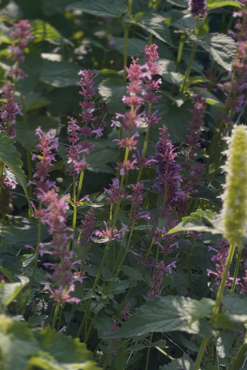 Screenshot 2026-03-25 at 7.32.34 PM.png