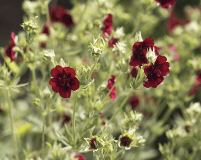 Screenshot 2025-12-04 at 6.23.49 AM.png