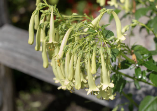 Screenshot 2026-02-28 at 3.58.34 PM.png