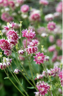 Screenshot 2026-02-06 at 8.32.24 PM.png