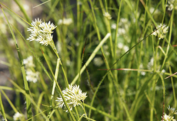 Screenshot 2025-12-29 at 8.03.59 PM.png