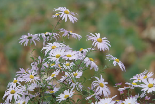 Screenshot 2026-02-28 at 4.07.56 PM.png