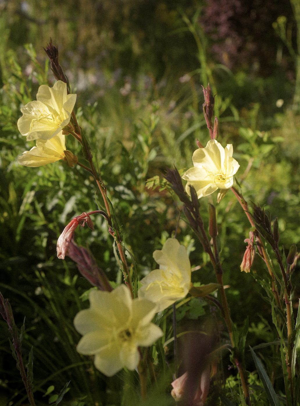 Screenshot 2026-02-28 at 3.26.24 PM.png