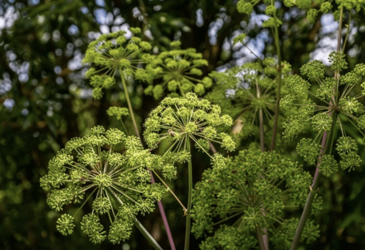 Screenshot 2025-12-07 at 6.14.35 PM.png