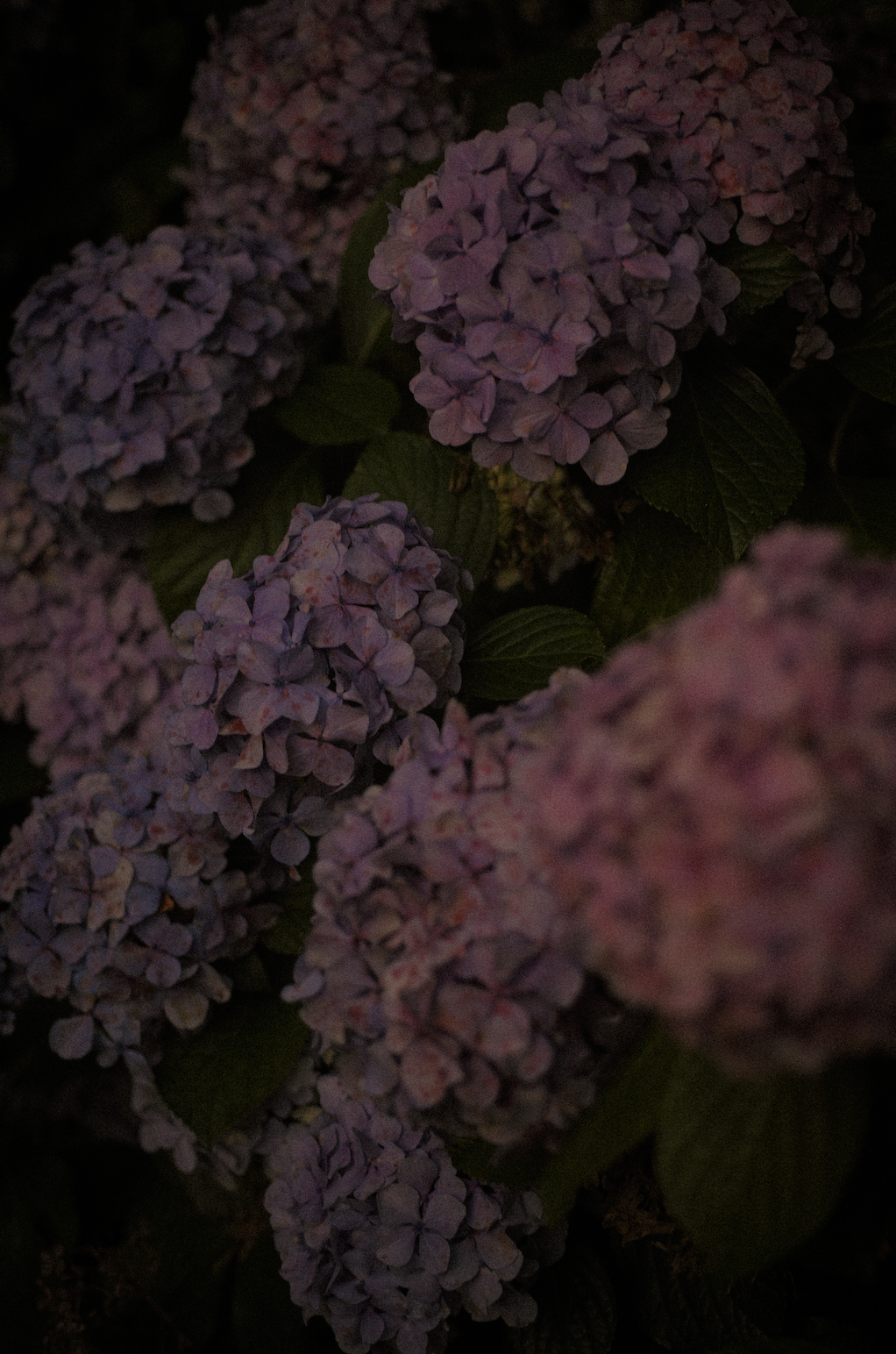 Screenshot 2026-06-24 at 1.04.26 PM.png