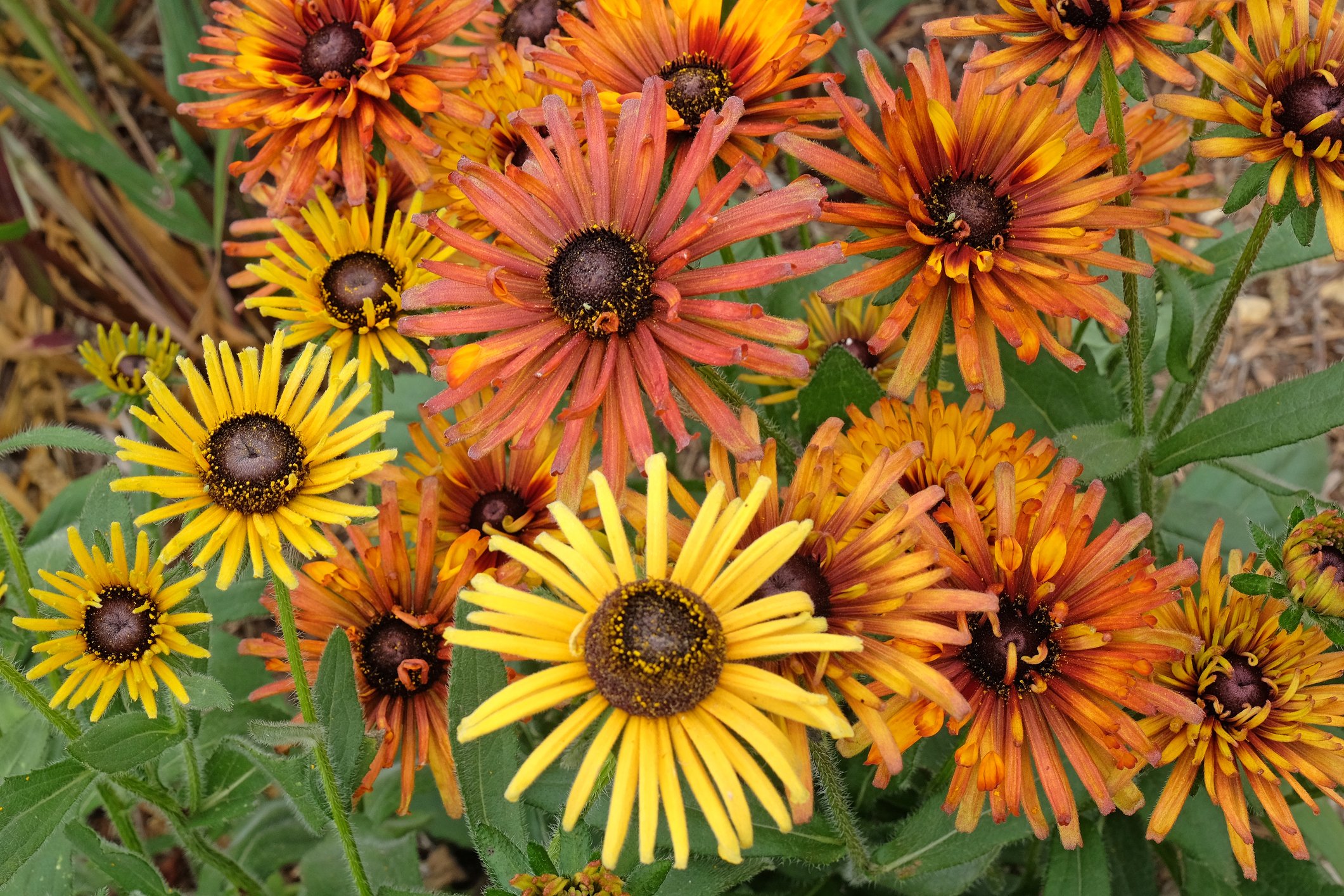 iStock-2235408027.jpg