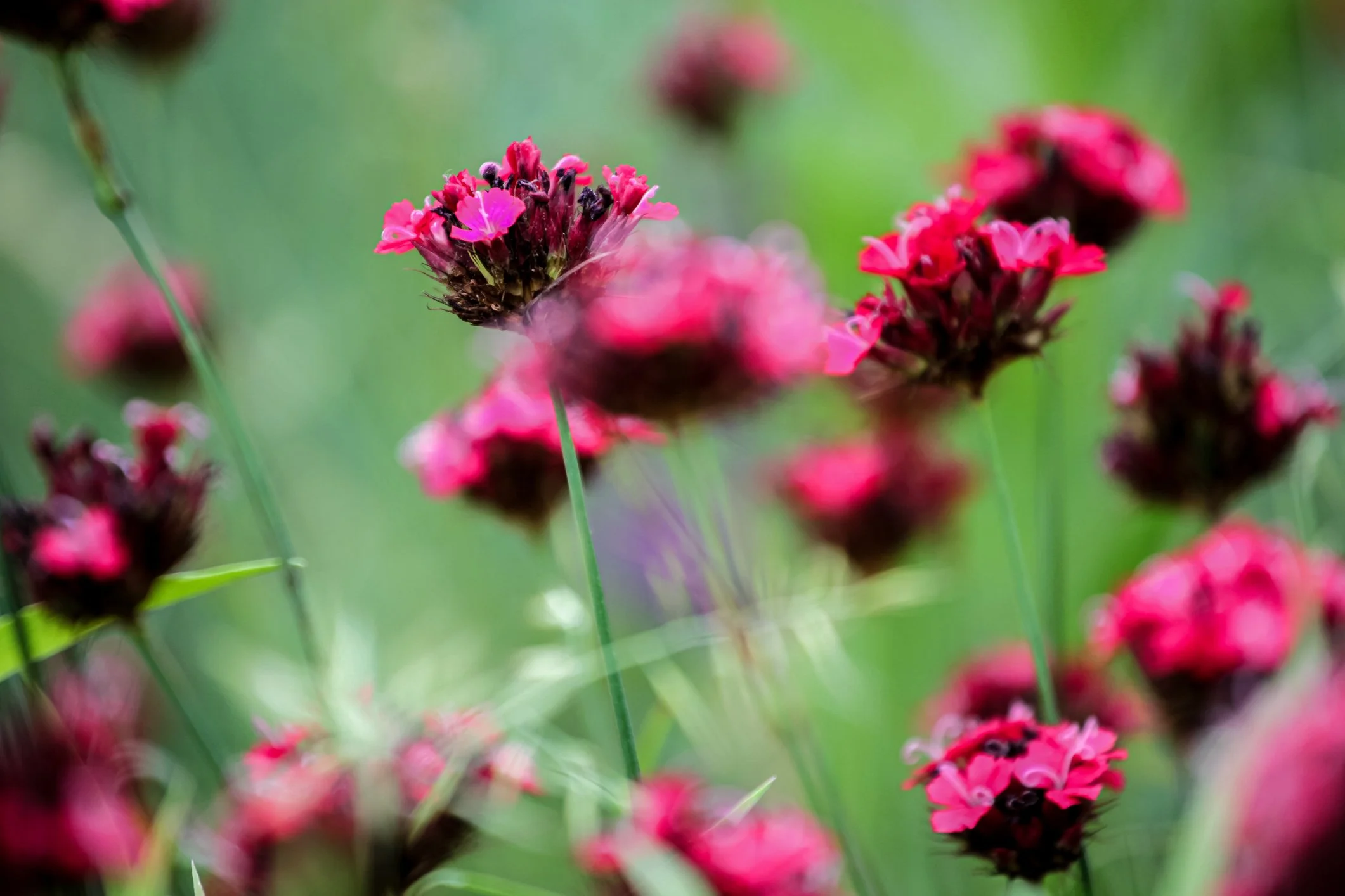 iStock-1443804306.jpg