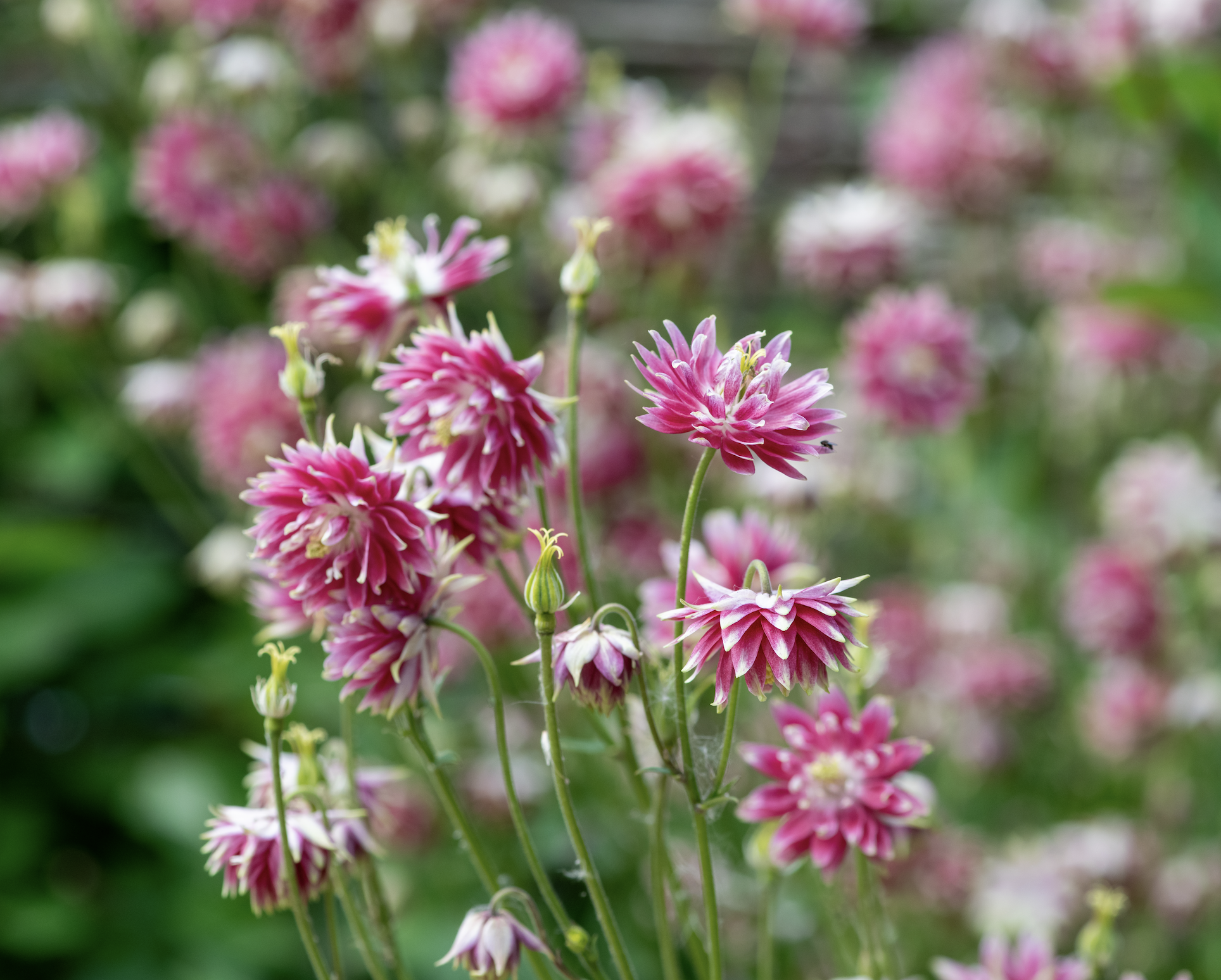 Screenshot 2026-03-25 at 8.38.45 PM.png