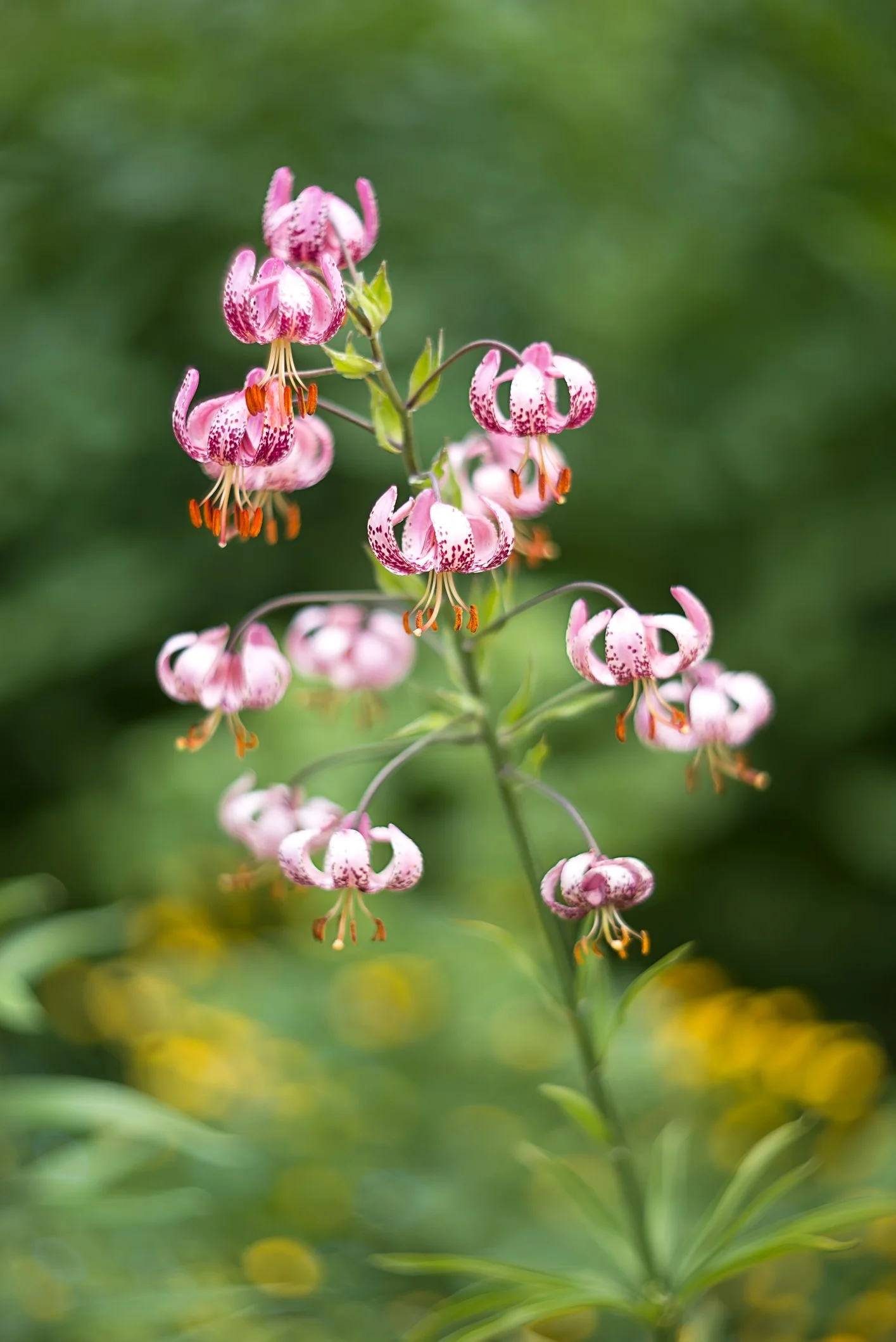 iStock-2244097986.jpg