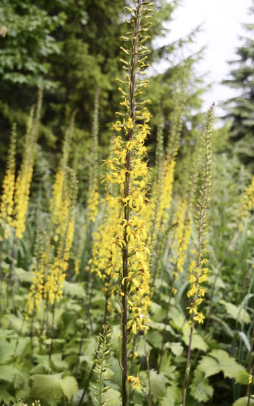 Screenshot 2026-02-28 at 4.09.28 PM.png