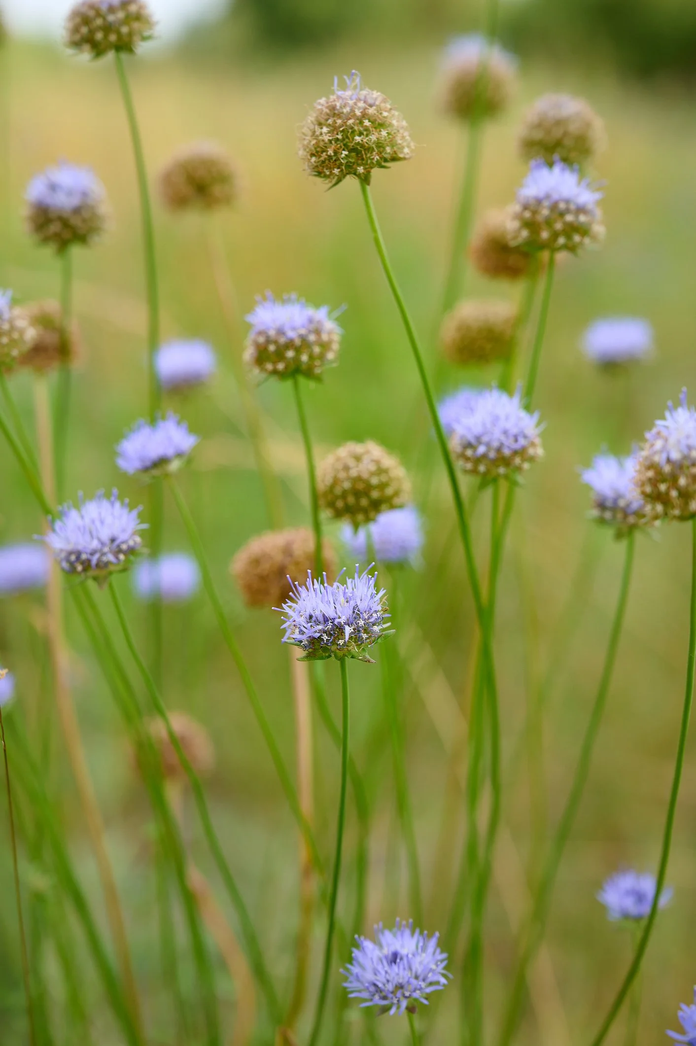 iStock-2236290675.jpg