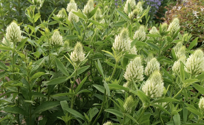 Screenshot 2025-12-29 at 7.58.04 PM.png