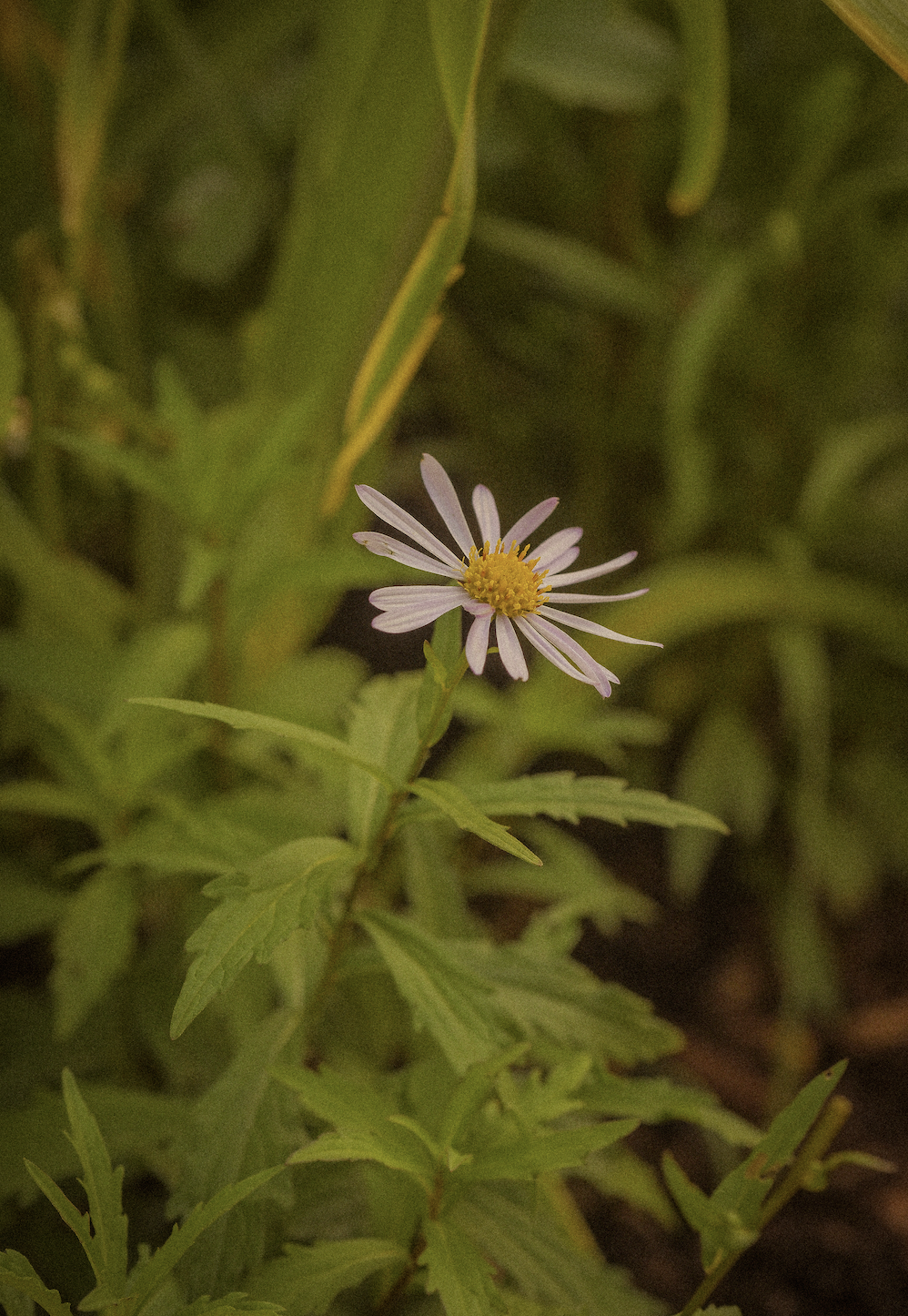 Screenshot 2026-03-25 at 5.05.30 PM.png