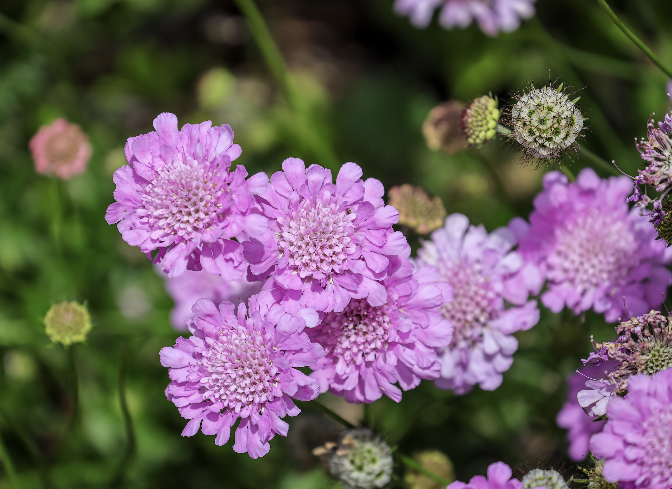 Screenshot 2026-03-25 at 8.28.47 PM.png