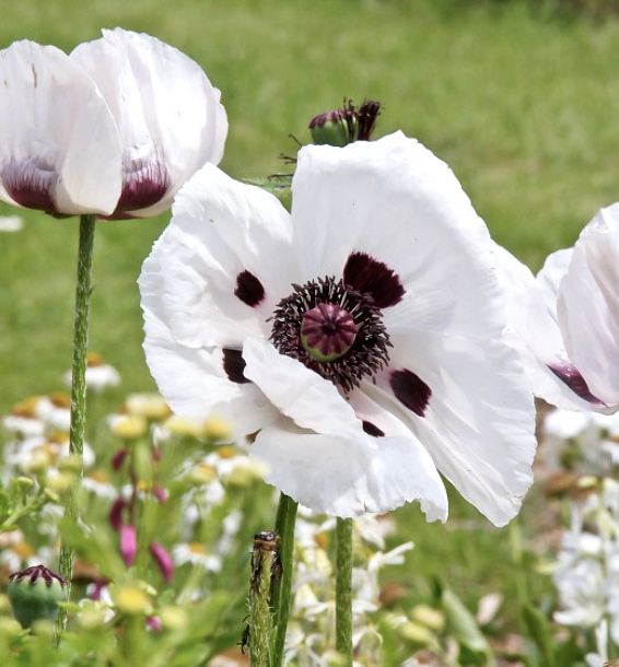 Screenshot 2025-11-23 at 7.11.34 PM.png