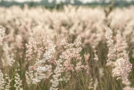 Screenshot 2025-12-14 at 6.18.43 PM.png