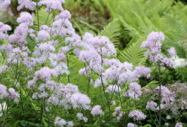 Screenshot 2026-02-28 at 4.11.30 PM.png