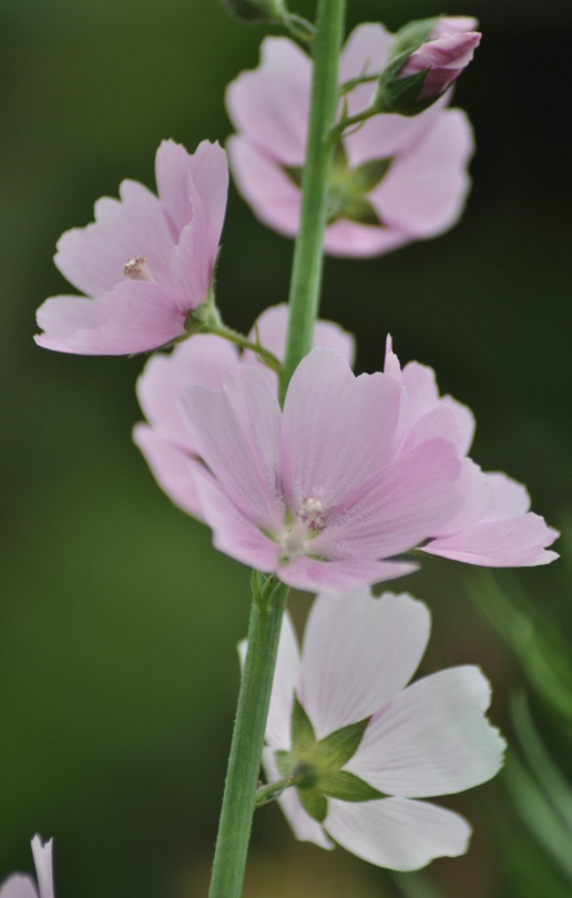 Screenshot 2025-11-08 at 2.03.17 PM.png