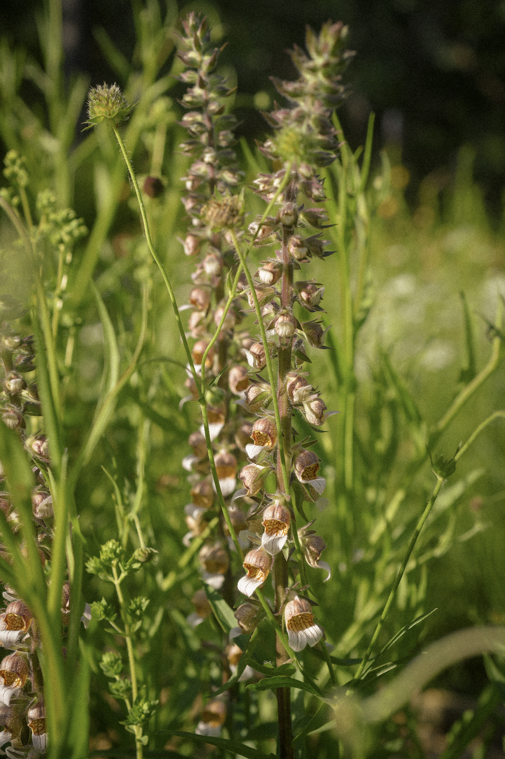 Screenshot 2025-12-29 at 7.50.57 PM.png