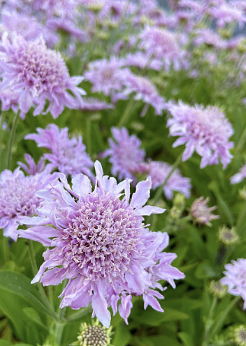 Screenshot 2025-12-29 at 7.36.29 PM.png