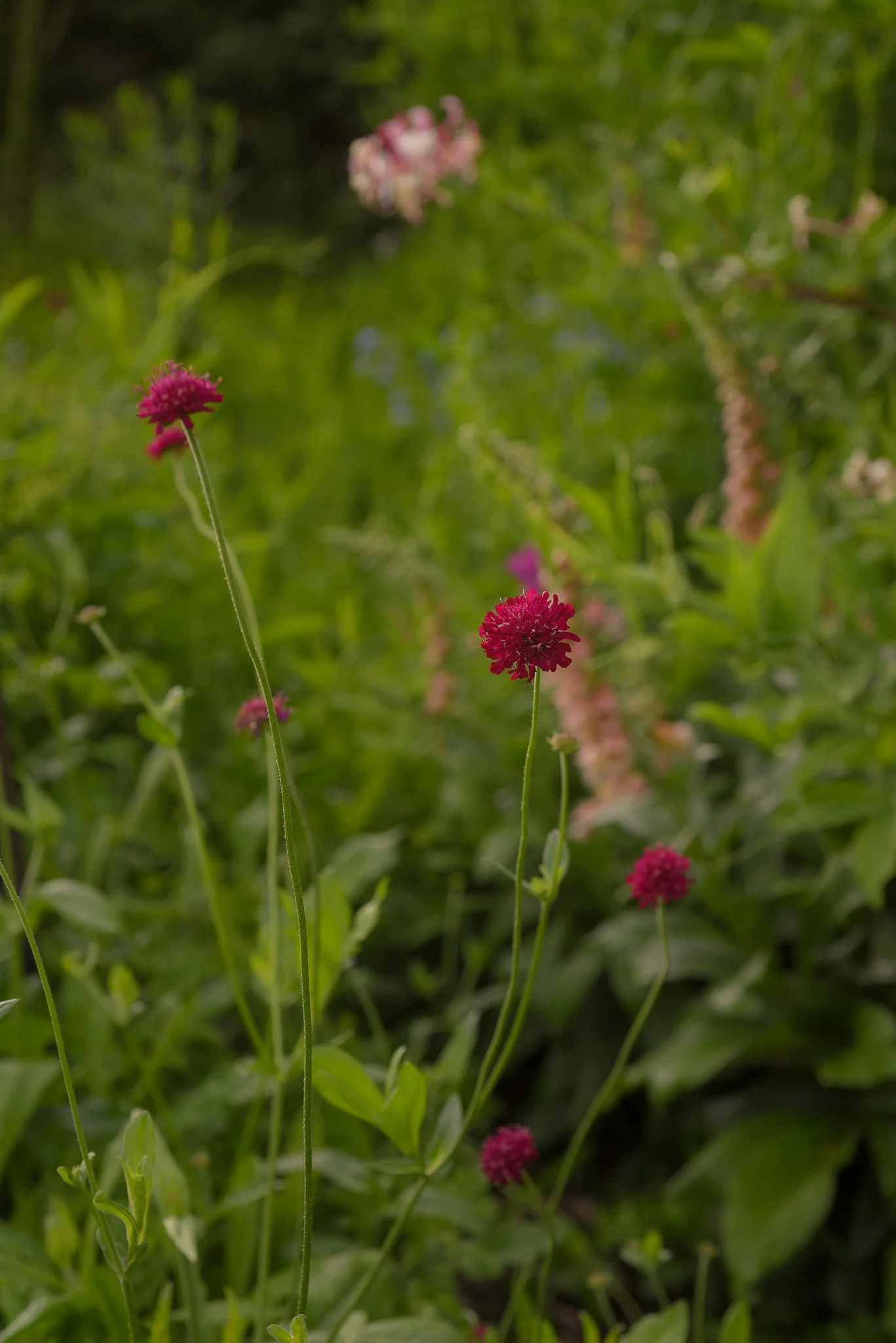 DSC_5753.jpg