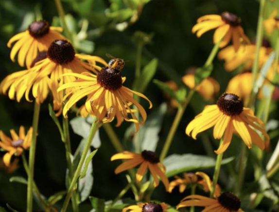 Screenshot 2025-12-29 at 8.22.06 PM.png