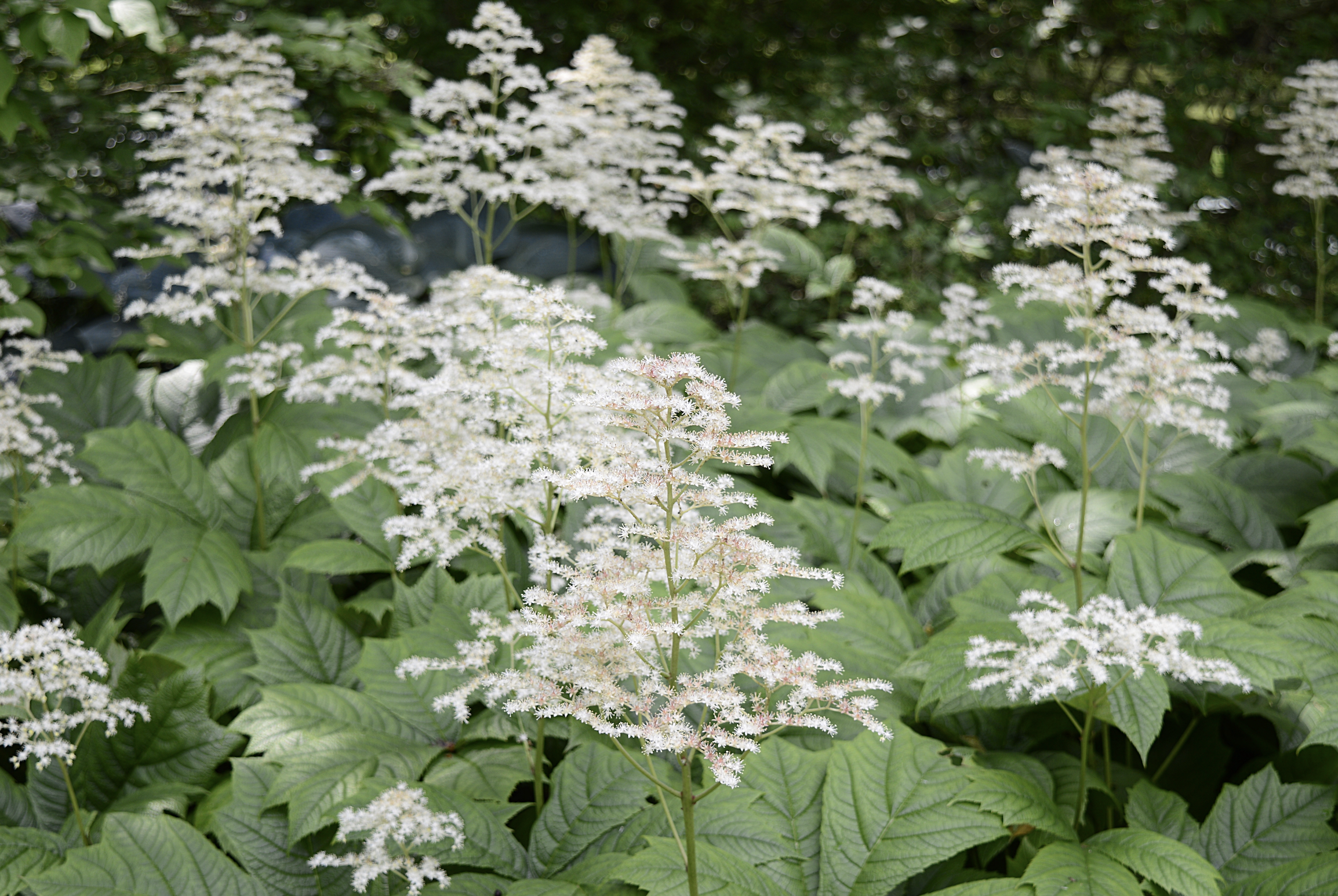 Screenshot 2026-04-04 at 9.34.44 PM.png