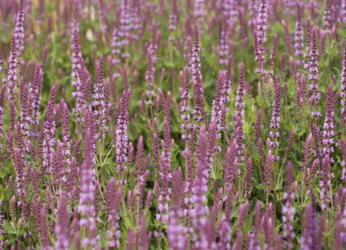 Screenshot 2025-12-29 at 8.06.53 PM.png