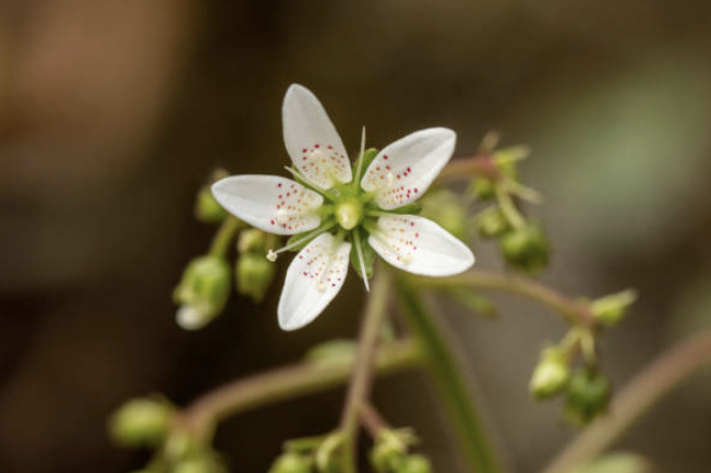 Screenshot 2026-02-28 at 3.56.19 PM.png