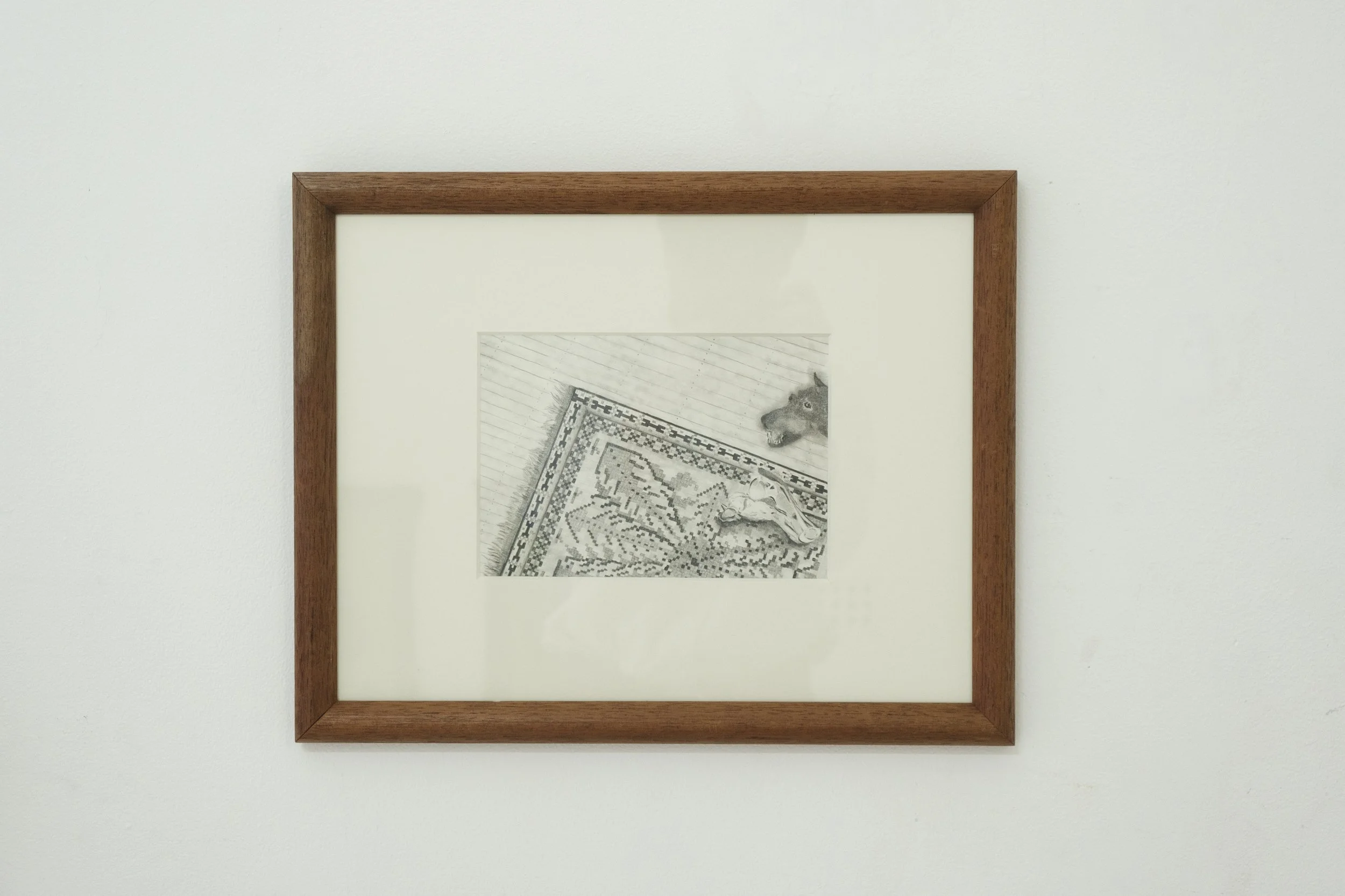 Sivaan Walker, 2025, a dandelion and a bone, graphite on paper