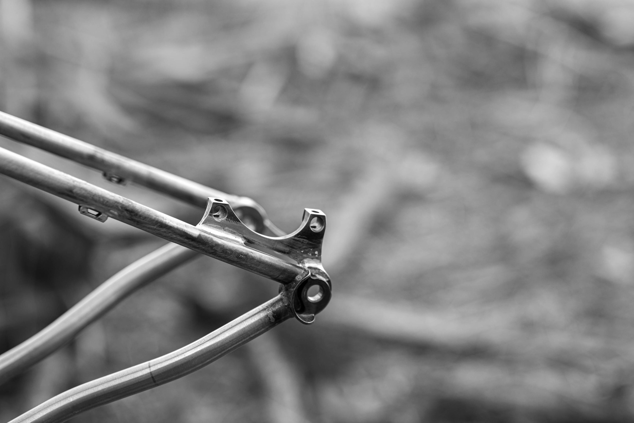 Brake mount and braze-ons