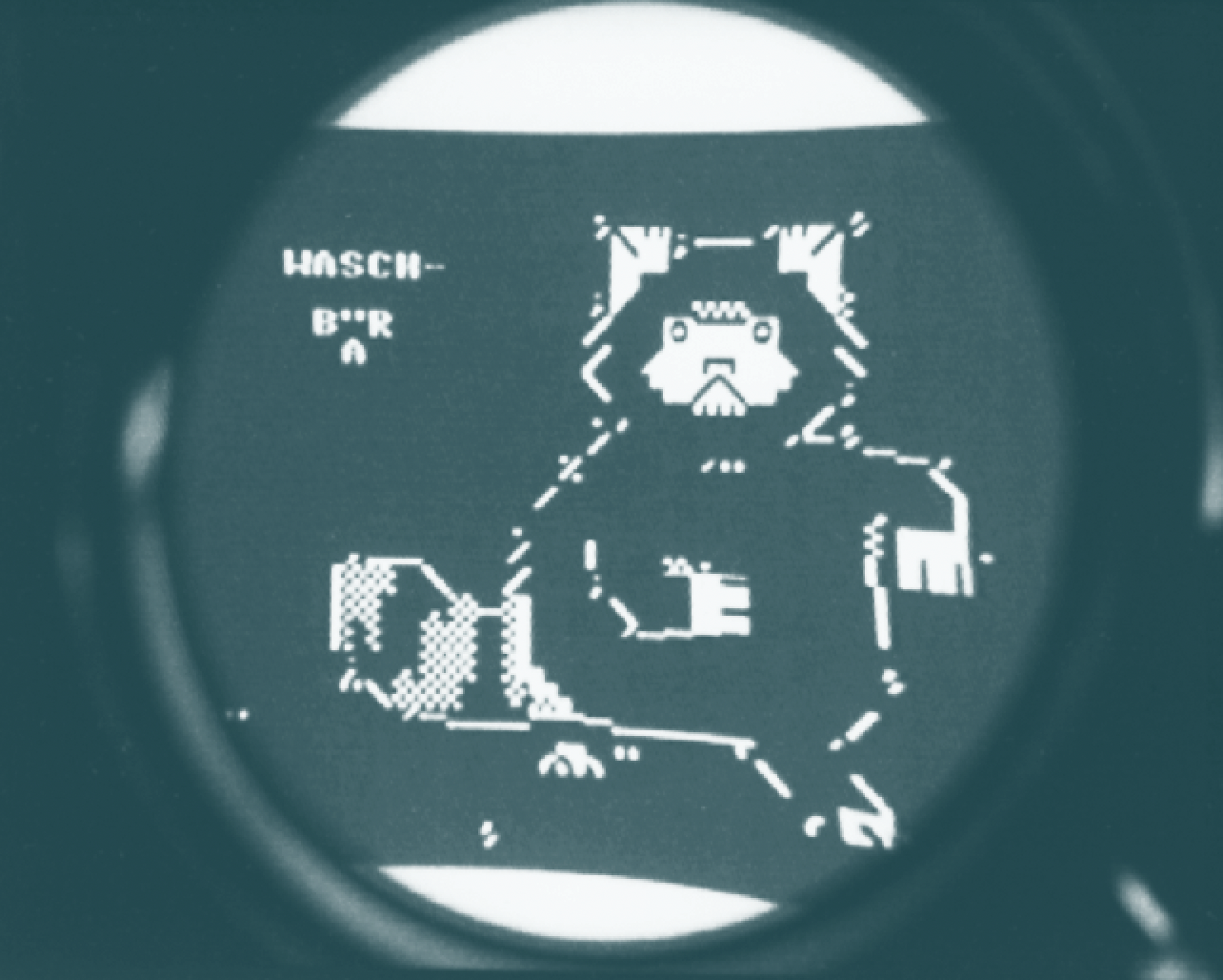 Raccoon Zine