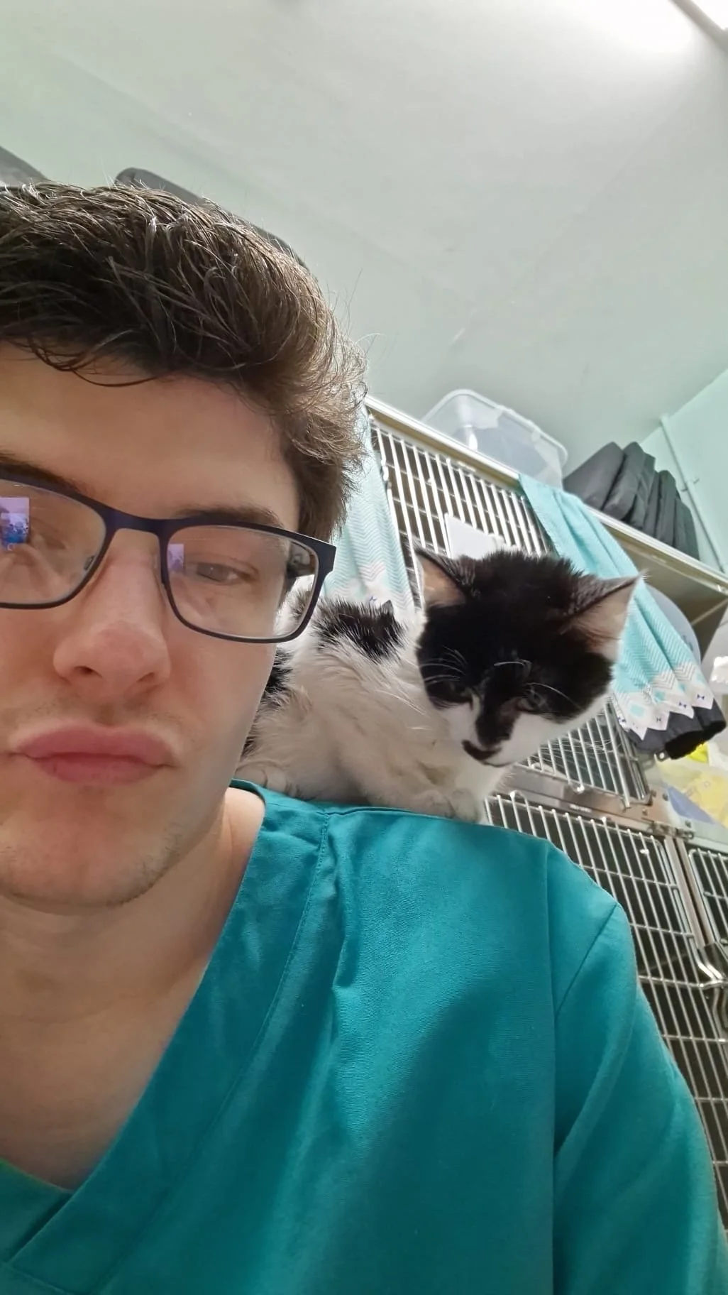 Nathan the veterinary care assistant at Horner Vets